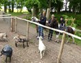 Ferien Bauernhof: Ponyreiten und Streichelzoo - Bernsteinland Hirschburg