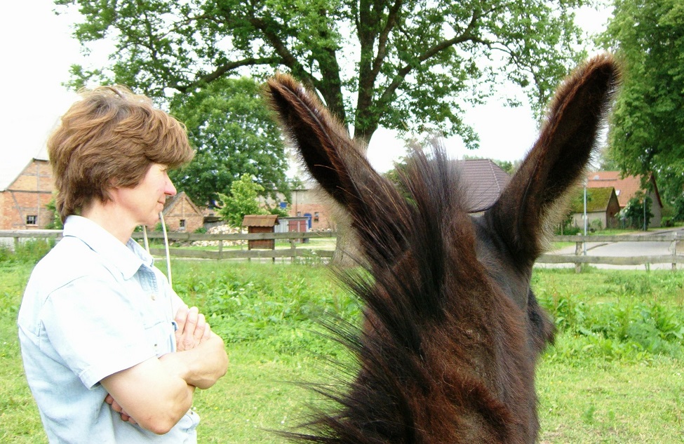 Ferienparadies Schwalbenhof Nos animaux Âne "Fridolin"