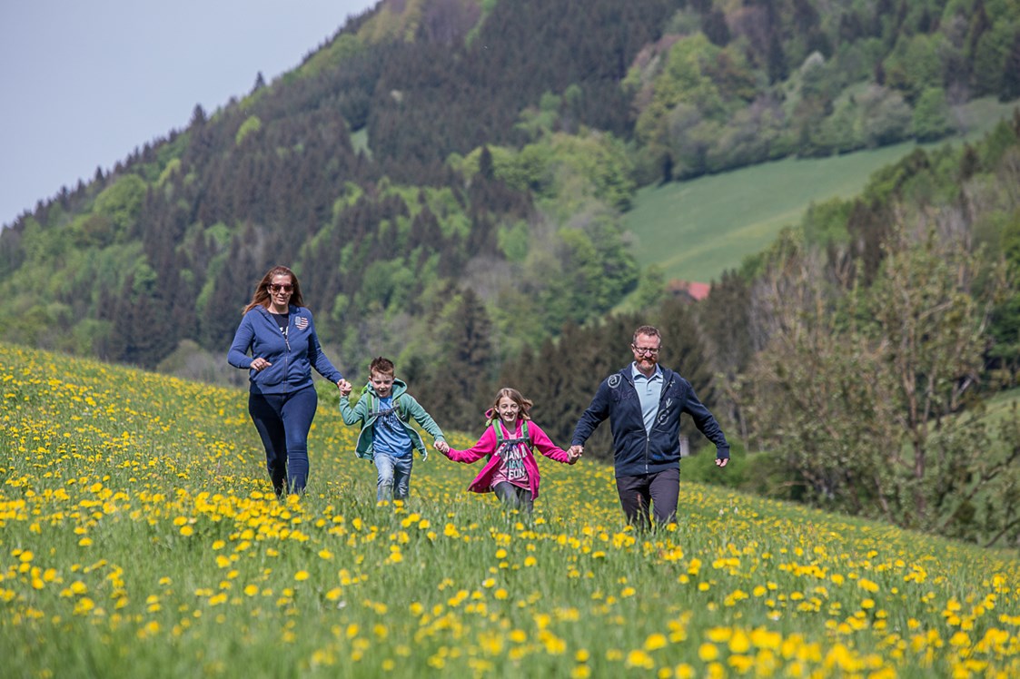 Ferien Bauernhof: Spaziergang mit der ganzen Familie in den wunderschön blühenden Wiesen. - Ferienhof Pfaffenlehen