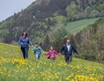 Ferien Bauernhof: Spaziergang mit der ganzen Familie in den wunderschön blühenden Wiesen. - Ferienhof Pfaffenlehen