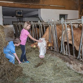 Ferien Bauernhof: Beim Füttern der Tiere darf mitgeholfen werden. - Ferienhof Pfaffenlehen