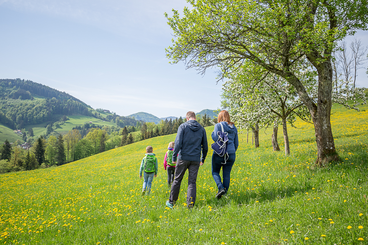 Ferienhof Pfaffenlehen Ausflugsziele 