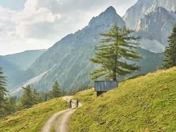 Lutzmannhof Ausflugsziele Mit dem Bike durch die Berge