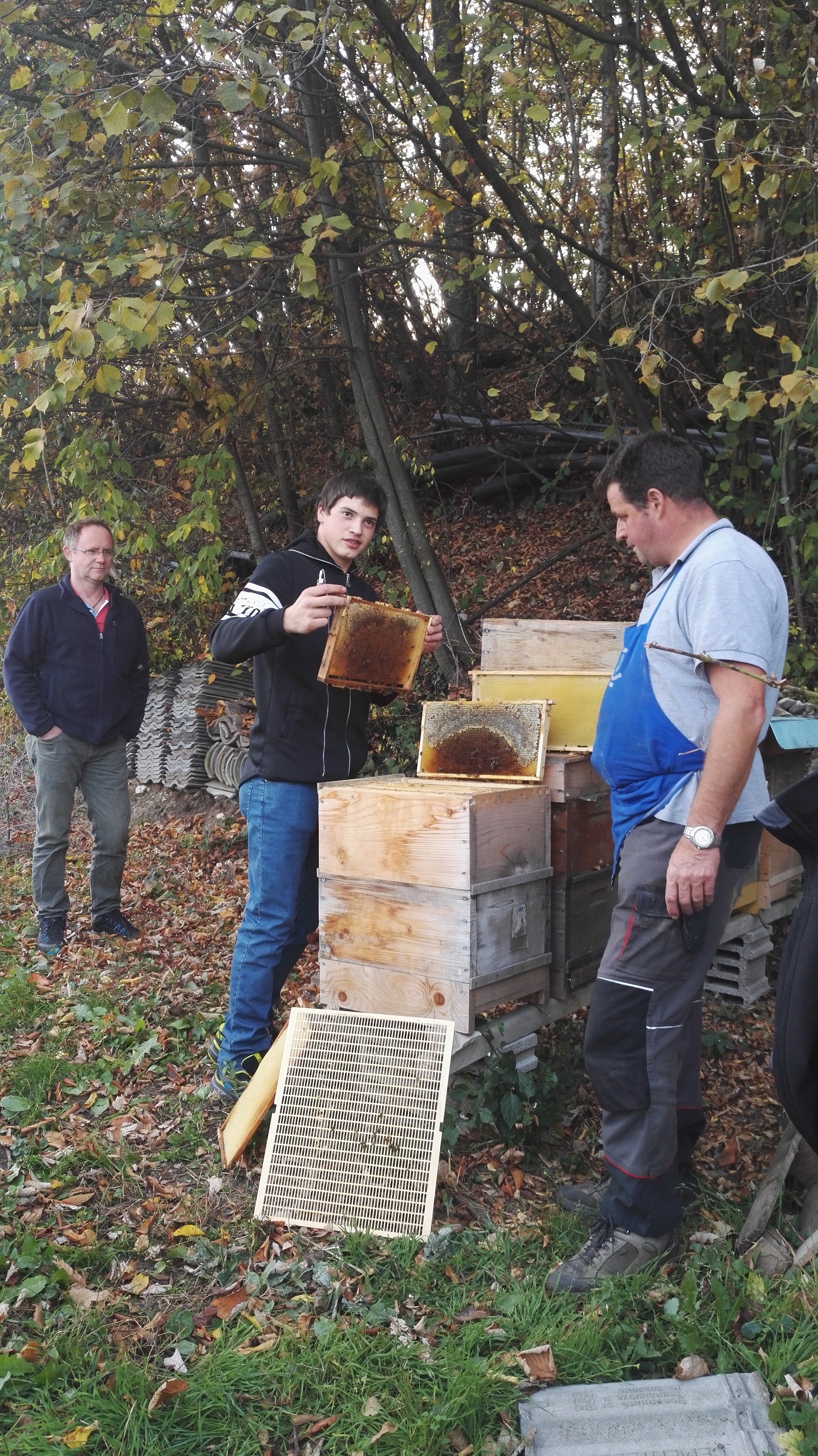 Ferien Bauernhof: Kerschbamerhof im Süden Südtirols