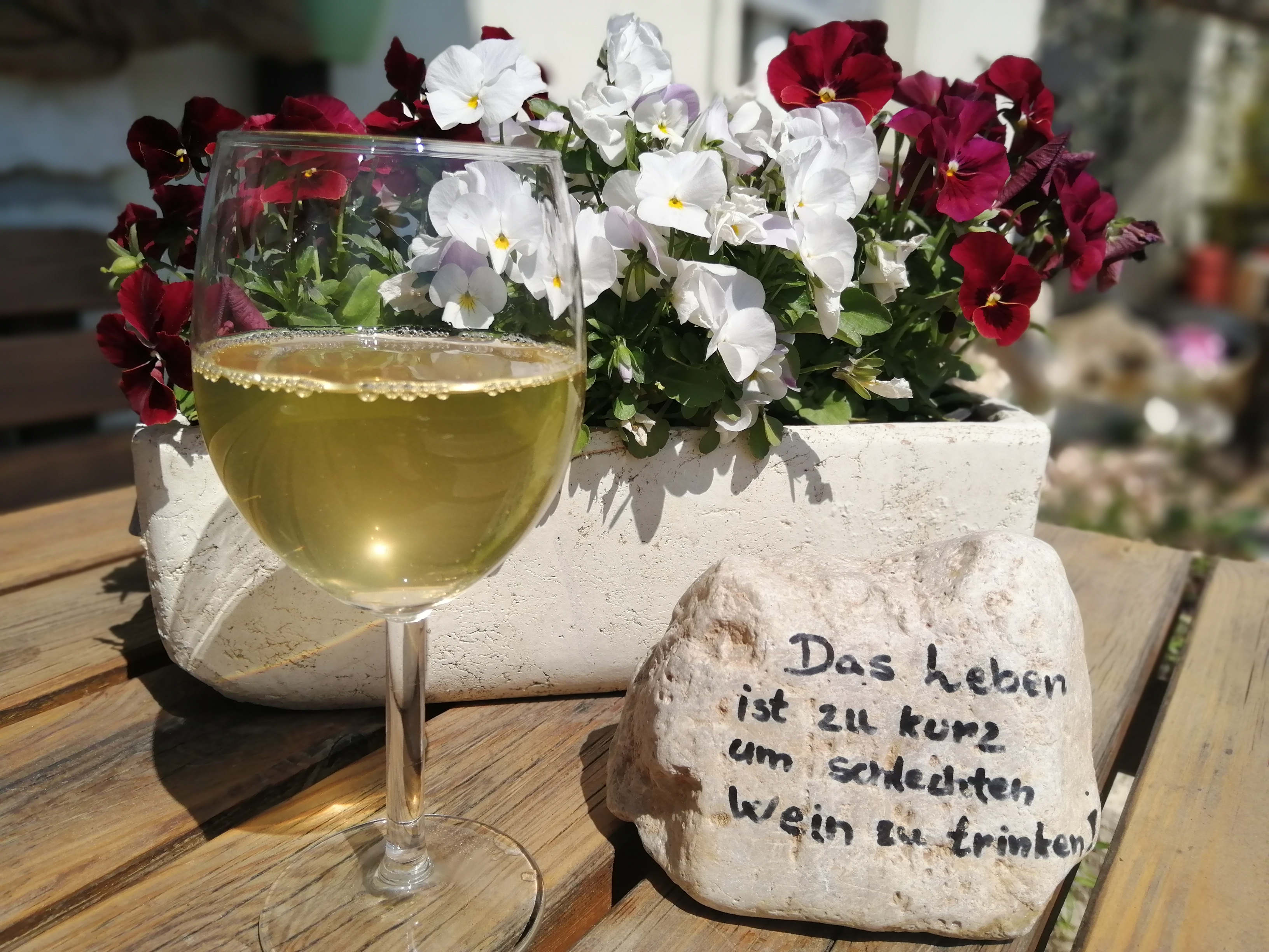 Ferien Bauernhof: Kerschbamerhof im Süden Südtirols