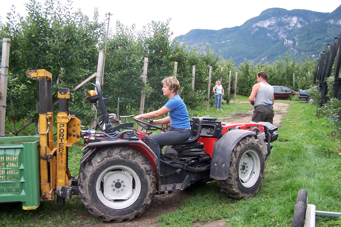 Ferien Bauernhof: Kerschbamerhof im Süden Südtirols