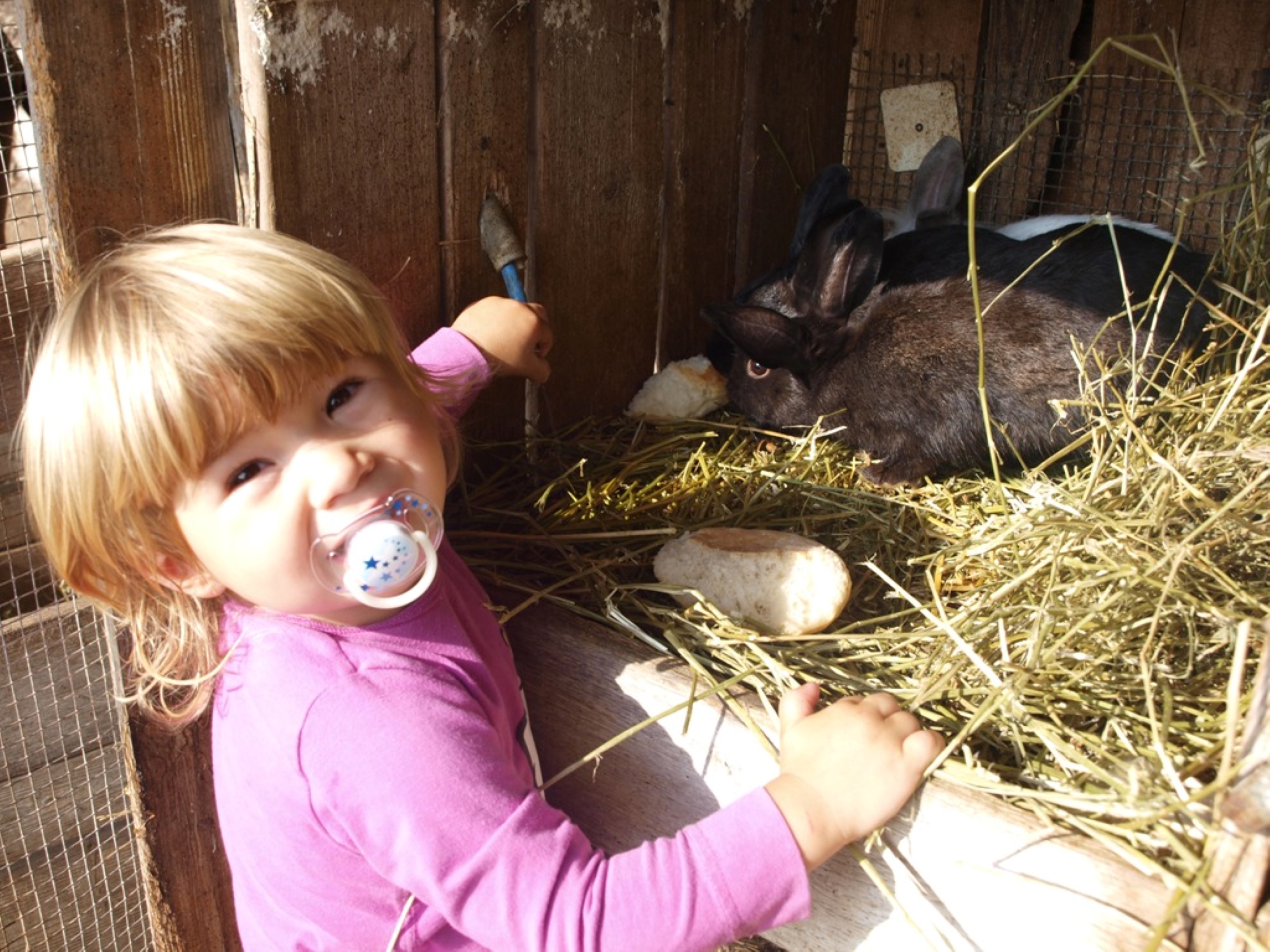 Ferien Bauernhof: Kerschbamerhof im Süden Südtirols
