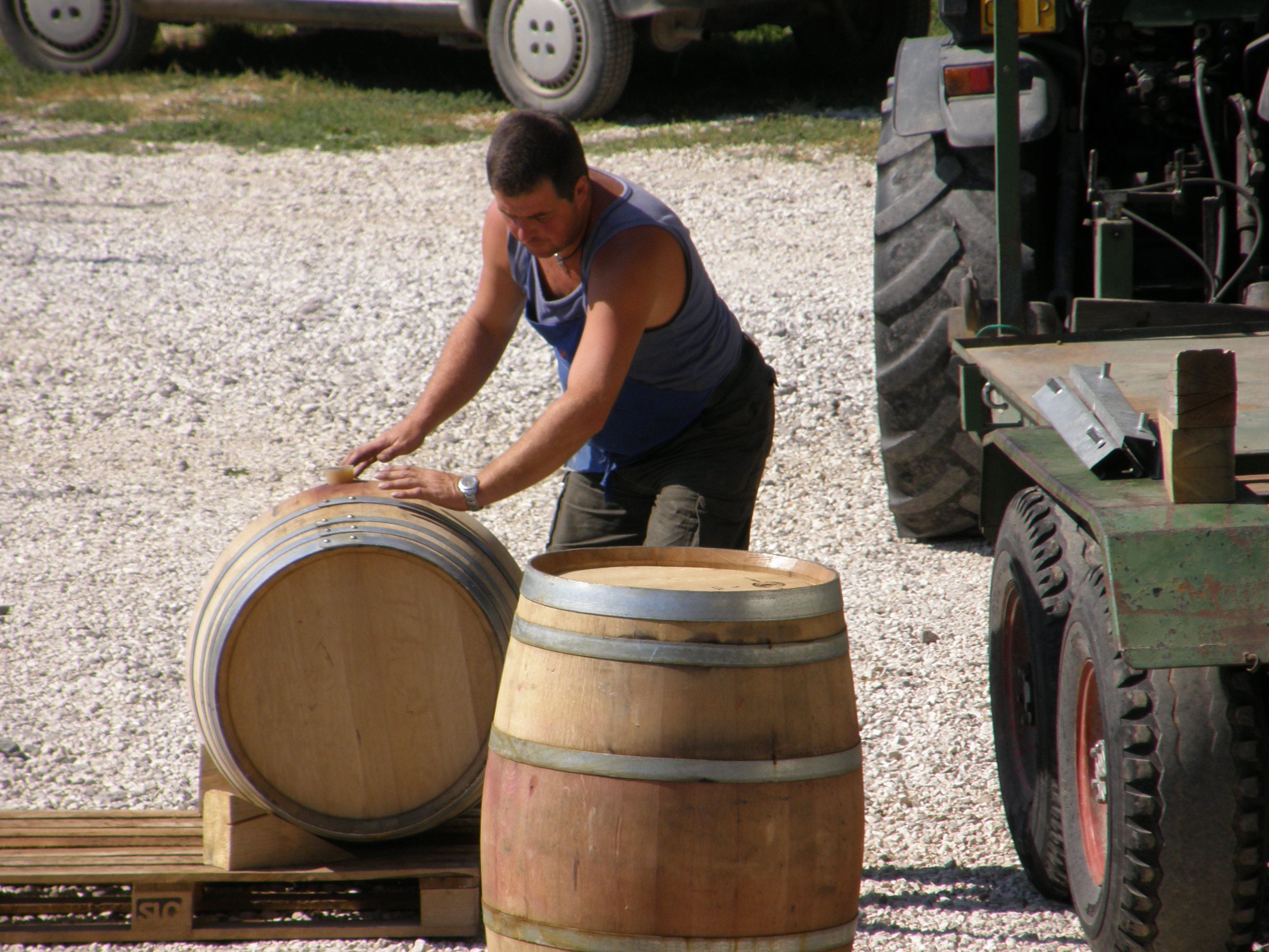 Ferien Bauernhof: Kerschbamerhof im Süden Südtirols