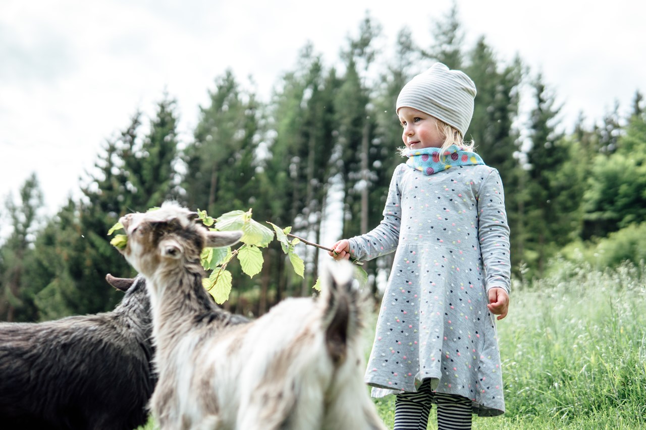 Kindererlebnis-Bauernhof Perhofer Our animals Dwarf goats