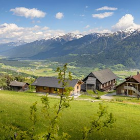 Ferien Bauernhof: der Panoramahof mit Blick ins Gailtal und auf die Karnischen Alpen - Panoramahof am Goldberg