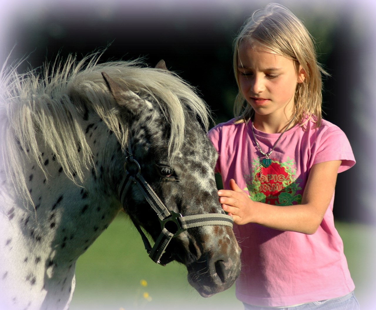 Panoramahof am Goldberg Naše životinje Stracciatella