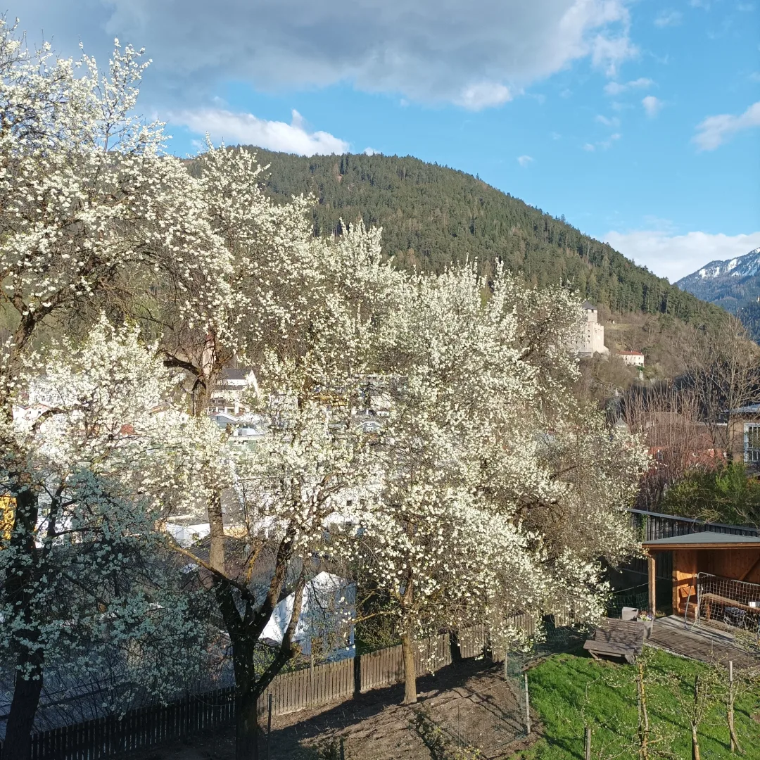 Ferien Bauernhof: Frühlingsimpressionen aus unserem Garten - Kobelerhof