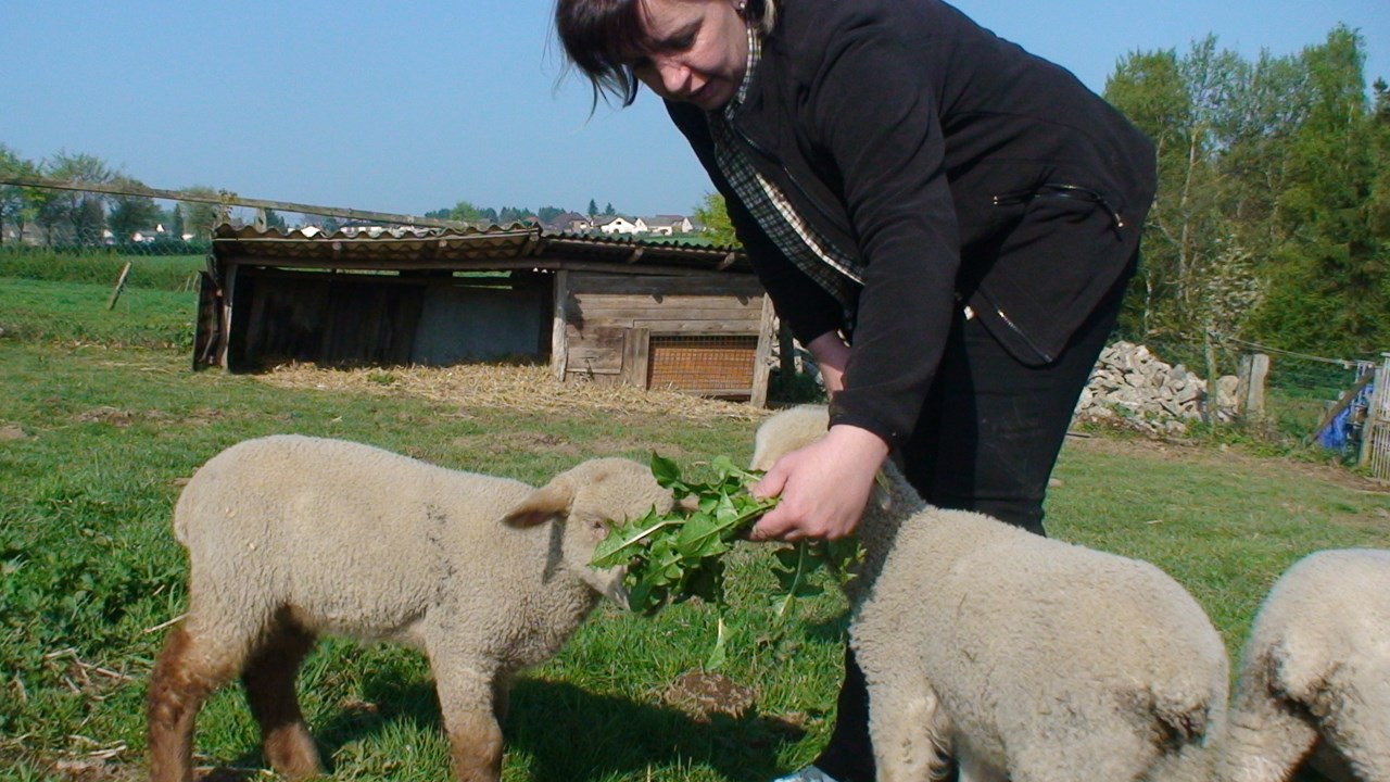 Ferienwohnungen Bosselbacher-Hof GbR Nos animaux 