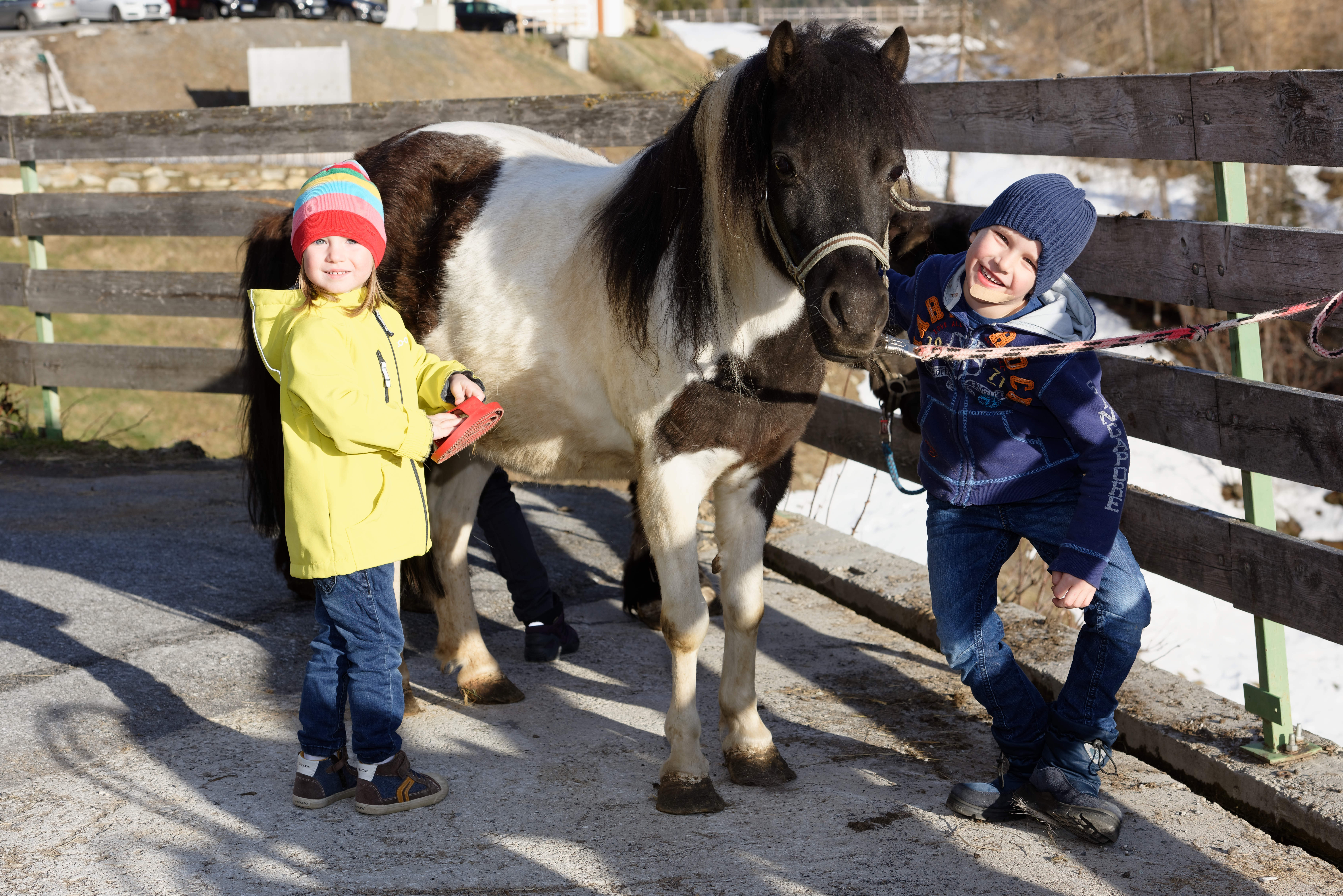 Berghotel & Gasthof Marlstein unsere Tiere Unsere Ponys