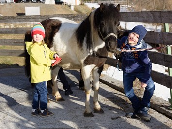 Berghotel Marlstein unsere Tiere Unsere Ponys