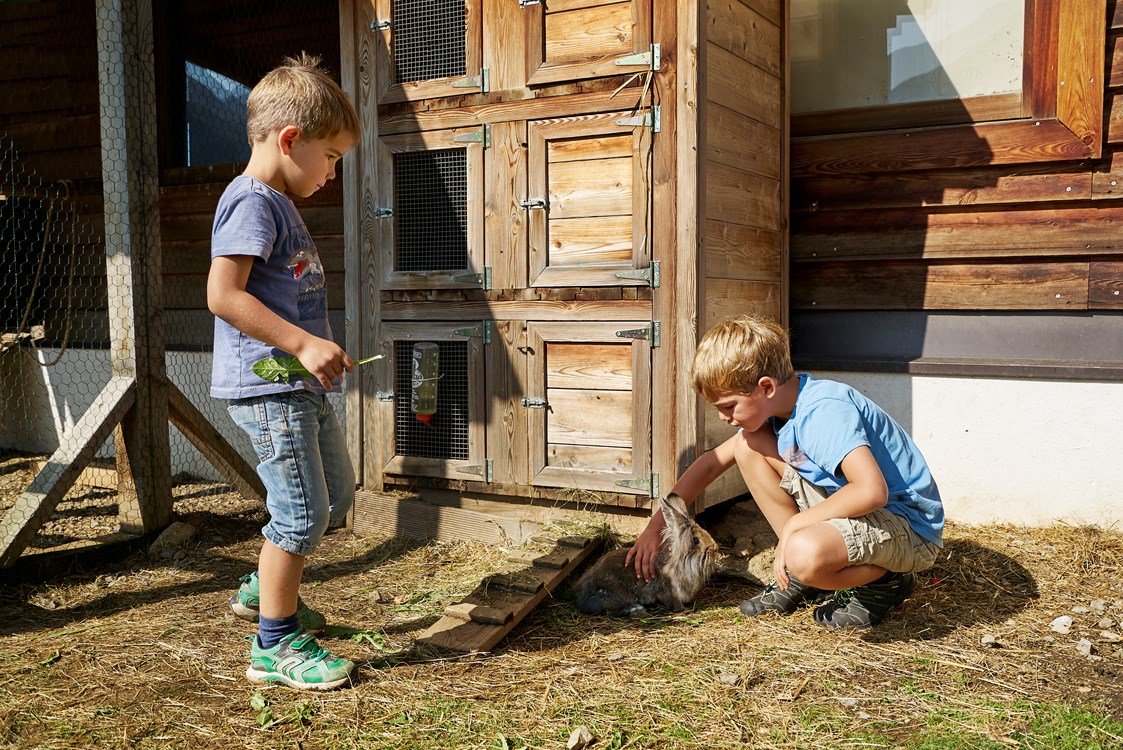 Ferien Bauernhof: Beim Streichelzoo gibt es viel zu erleben - Berghotel Marlstein
