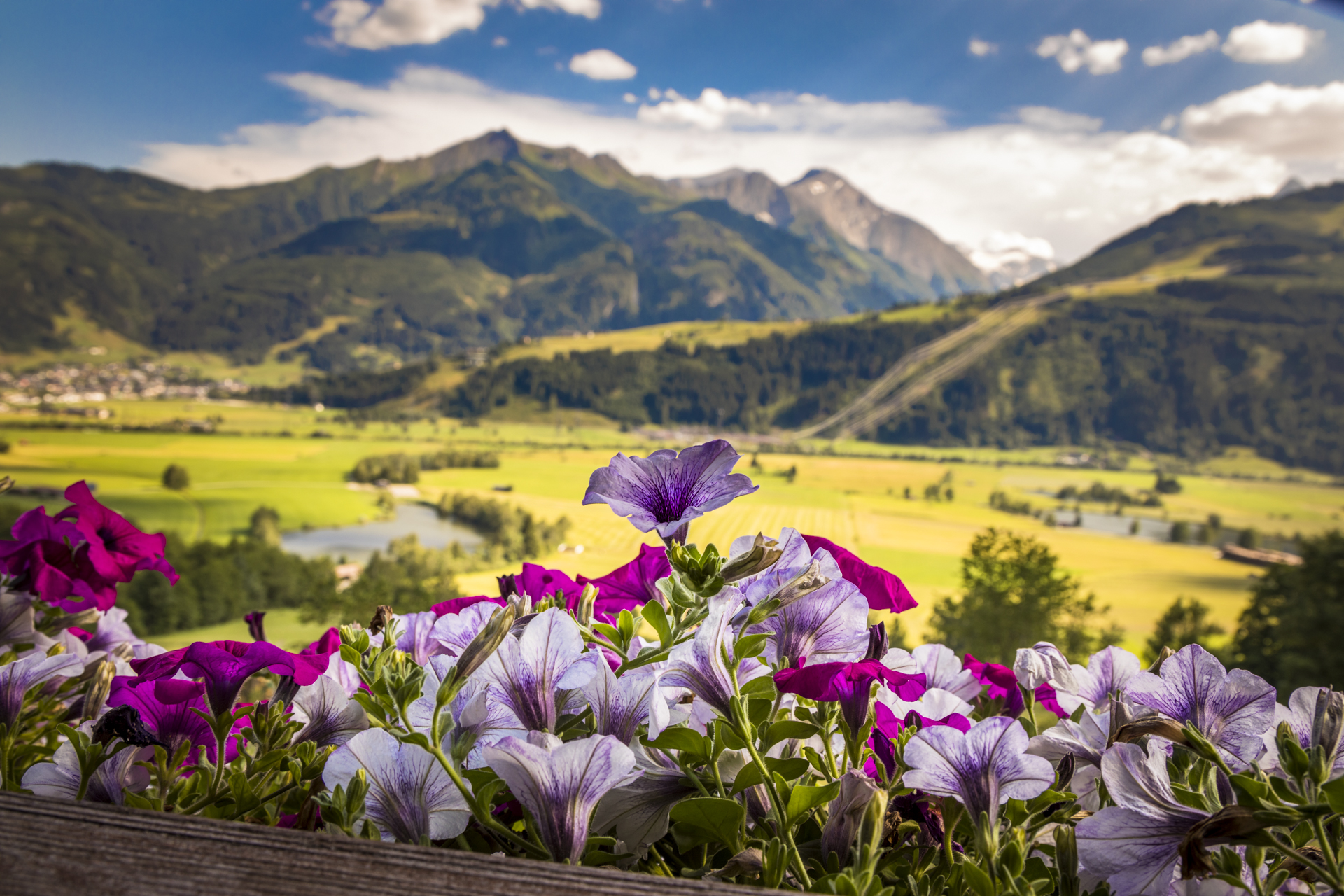vacanza in fattoria - Bio-Bauernhof - Mörtschach - Wengerbauer - Familie Hofer