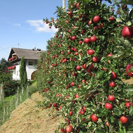 Ferien Bauernhof: Oberötzbauerhof