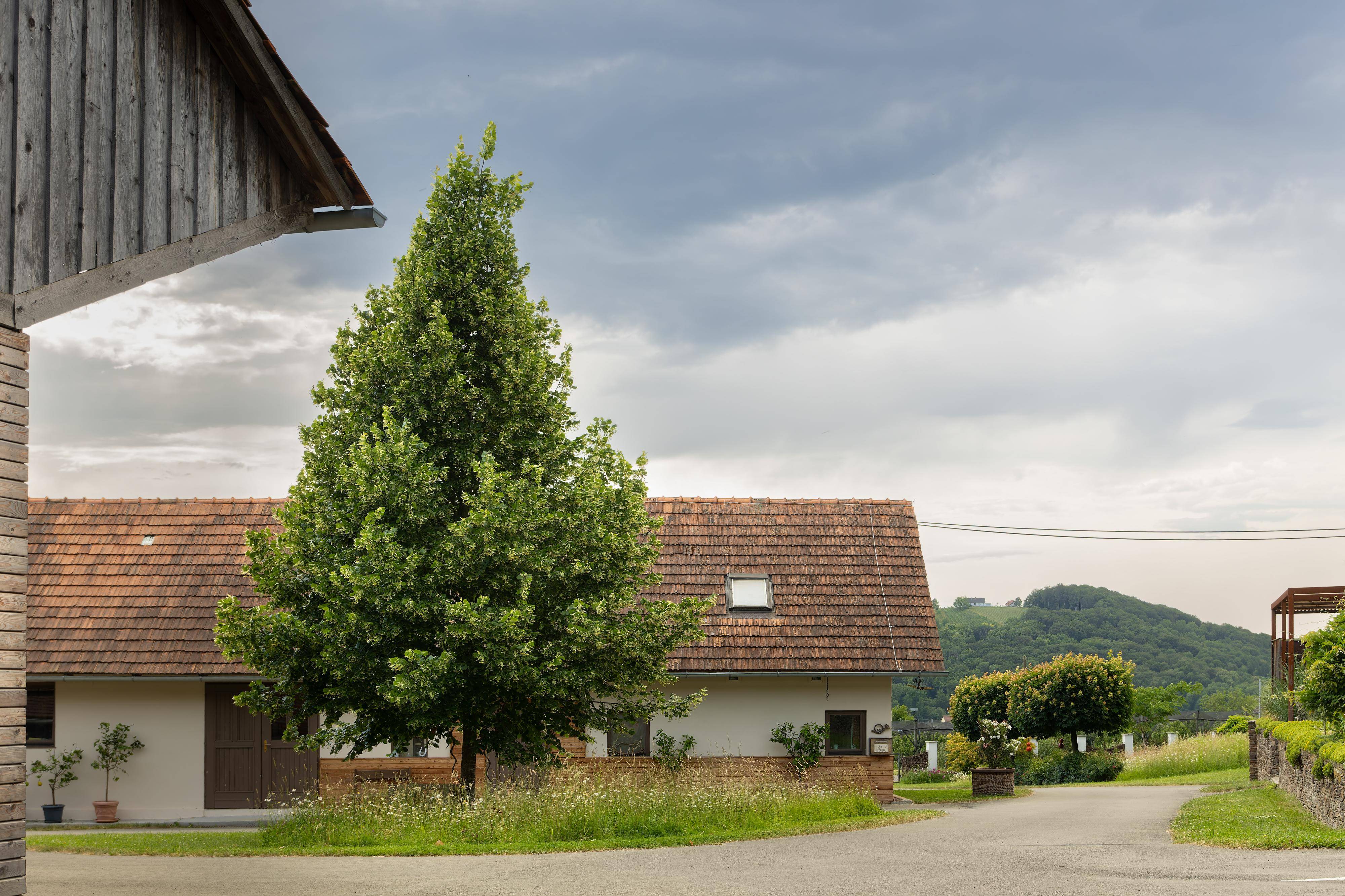 Ferien Bauernhof: Innenhof mit schönem landwirtschaftlichen Gebäude - Landhaus Bender  - Cortile della fattoria