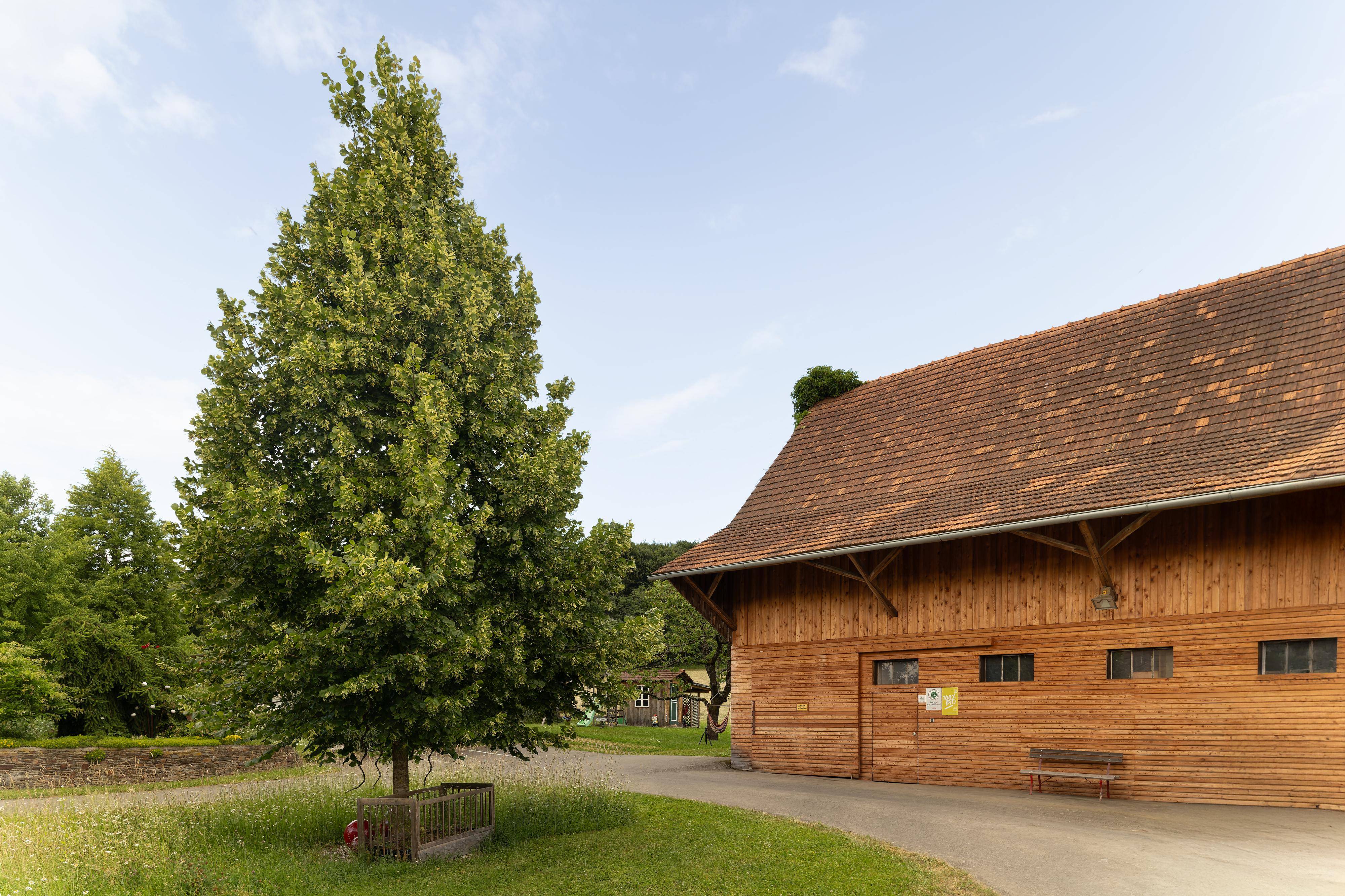 Ferien Bauernhof: Innenhof mit Stallgebäude - gepflegt und ansprechend - Landhaus Bender  - Animali, Area esterna, Cortile della fattoria