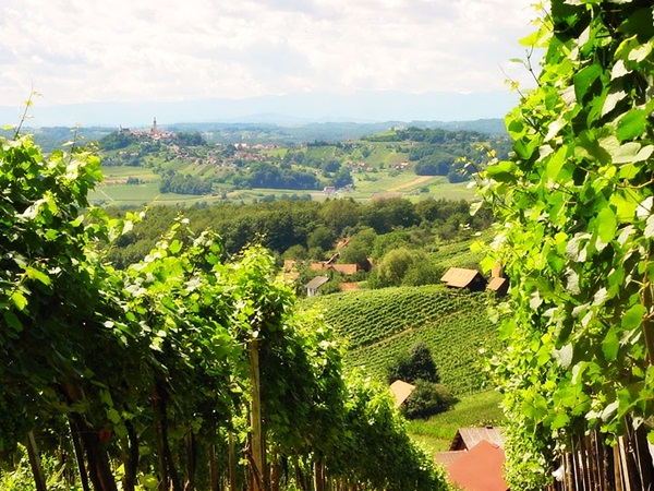 Landhaus Bender  Destinazioni Escursionismo e ciclismo