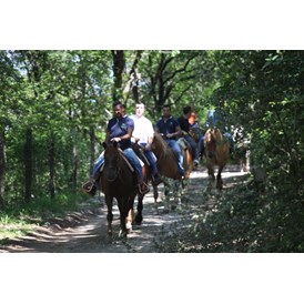 Ferien Bauernhof: Le nostre passeggiate a cavallo - Agriturismo Bartoli