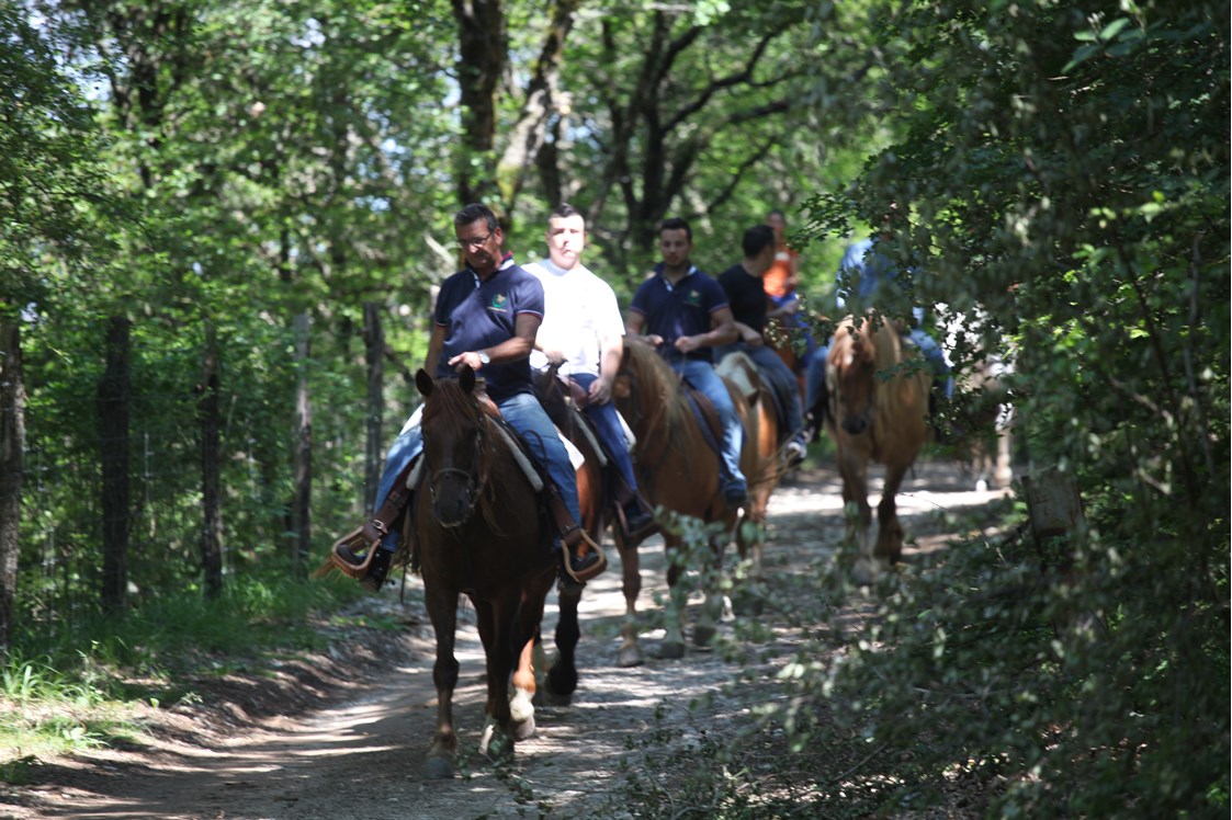 Ferien Bauernhof: Le nostre passeggiate a cavallo - Agriturismo Bartoli