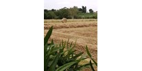 Urlaub auf dem Bauernhof - Fernseher am Zimmer - Italien - Paesaggio - Agriturismo Nuvolino - Monzambano