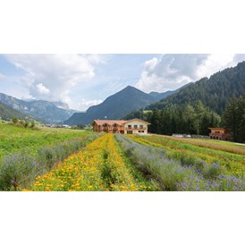 Ferien Bauernhof: Ecogreen Agriturismo Fiores immerso nei prati delle Dolomiti - Fiores Eco-Green Agriturismo e Azienda Agricola Biologica