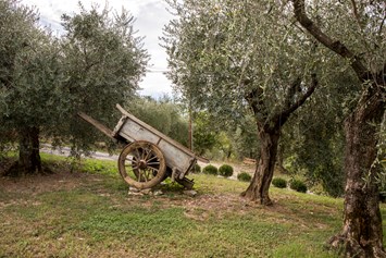 Ferien Bauernhof: Agriturismo La Romagnana