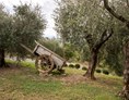 Ferien Bauernhof: Agriturismo La Romagnana