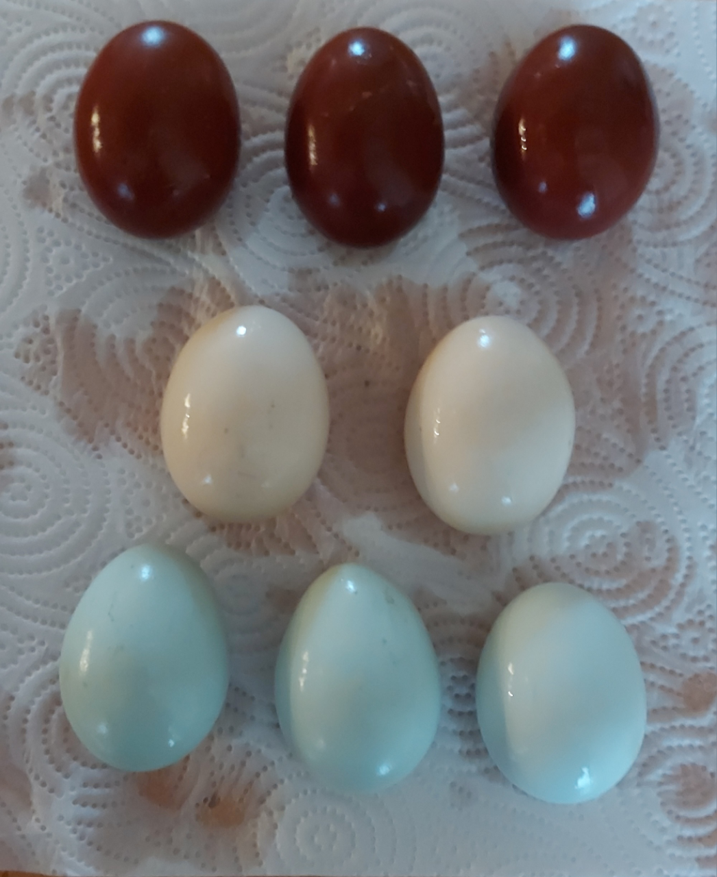 Agriturismo Le Cesane Our animals eggs