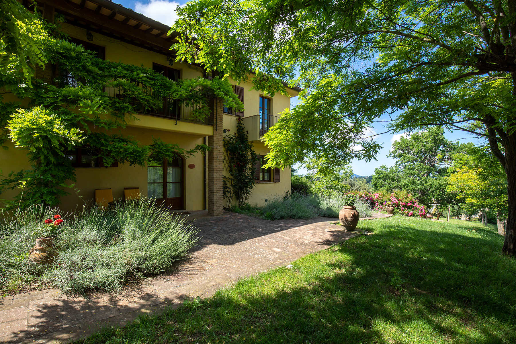 Ferien Bauernhof: Eingang mit Terrasse der Wohnung Robinia - Agriturismo Le Cesane