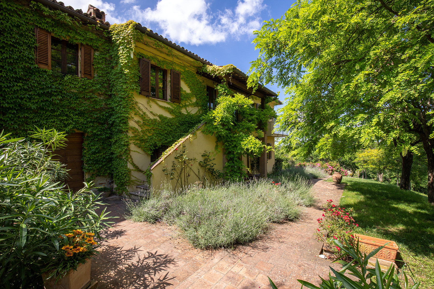 Ferien Bauernhof: Treppe zu den beiden Wohnungen Alloro und Quercia - Agriturismo Le Cesane
