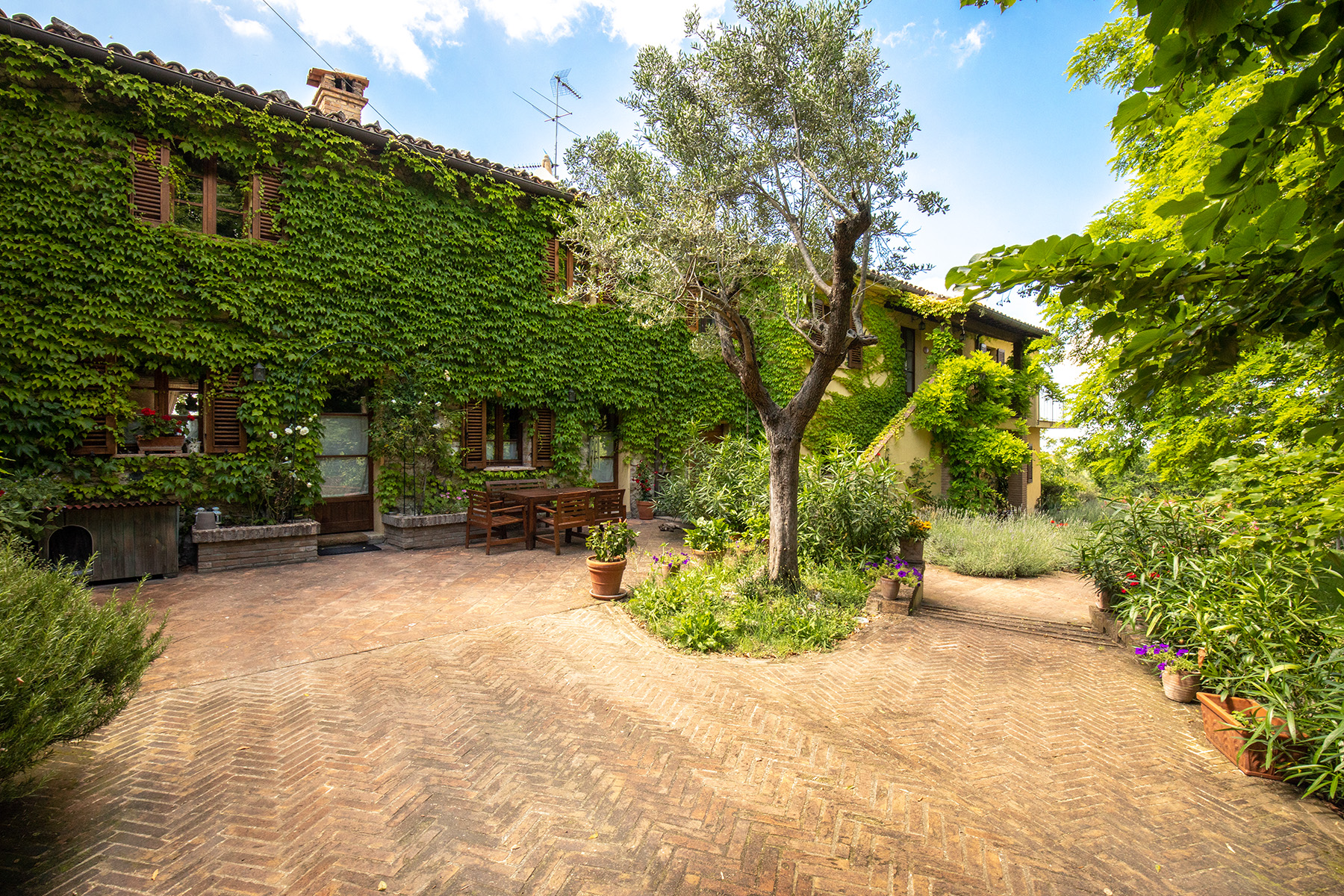 Ferien Bauernhof: Ankunft am Haus - Agriturismo Le Cesane