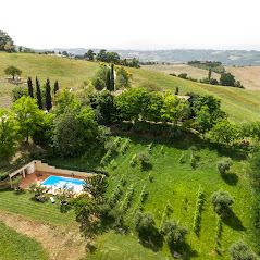 Ferien Bauernhof: Haus hinter Bäumen versteckt, Pool und berg nd das Feld hinter dem Haus - Agriturismo Le Cesane