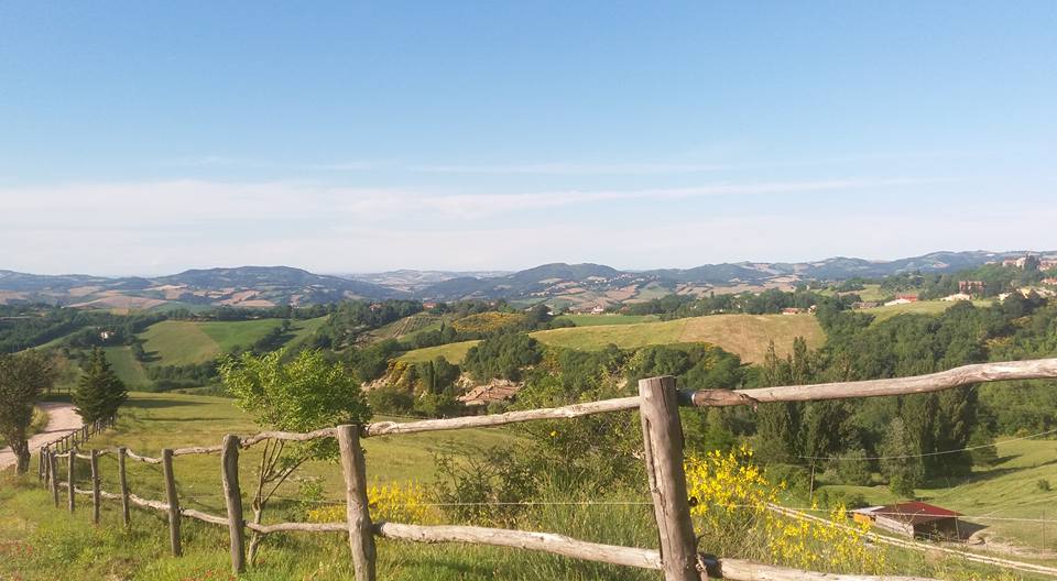 Ferien Bauernhof: Blick über das Land bis San Marino und bis zum Meer - Agriturismo Le Cesane