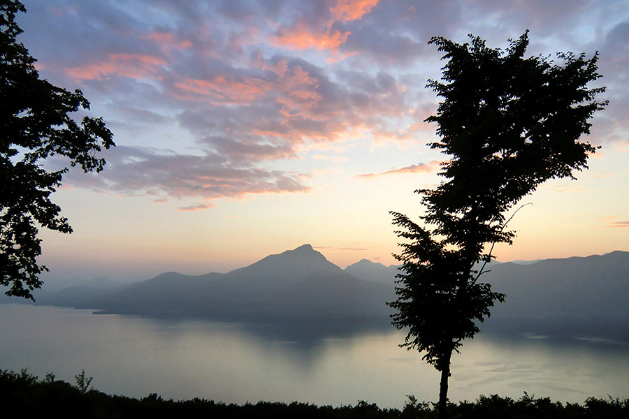 Ferien Bauernhof: Agriturismo Scriciol