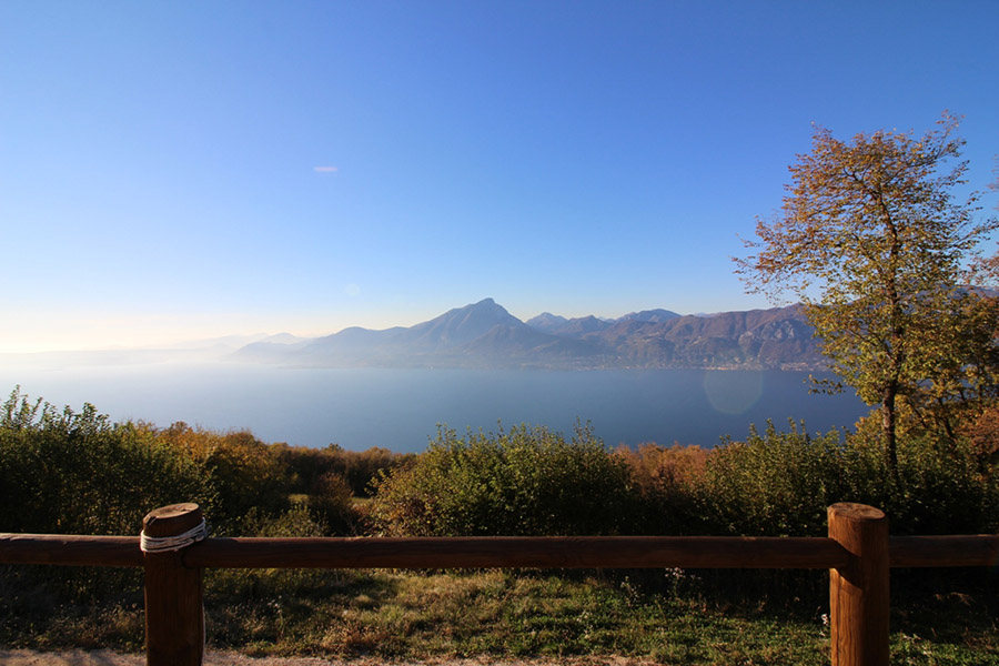Ferien Bauernhof: Agriturismo Scriciol