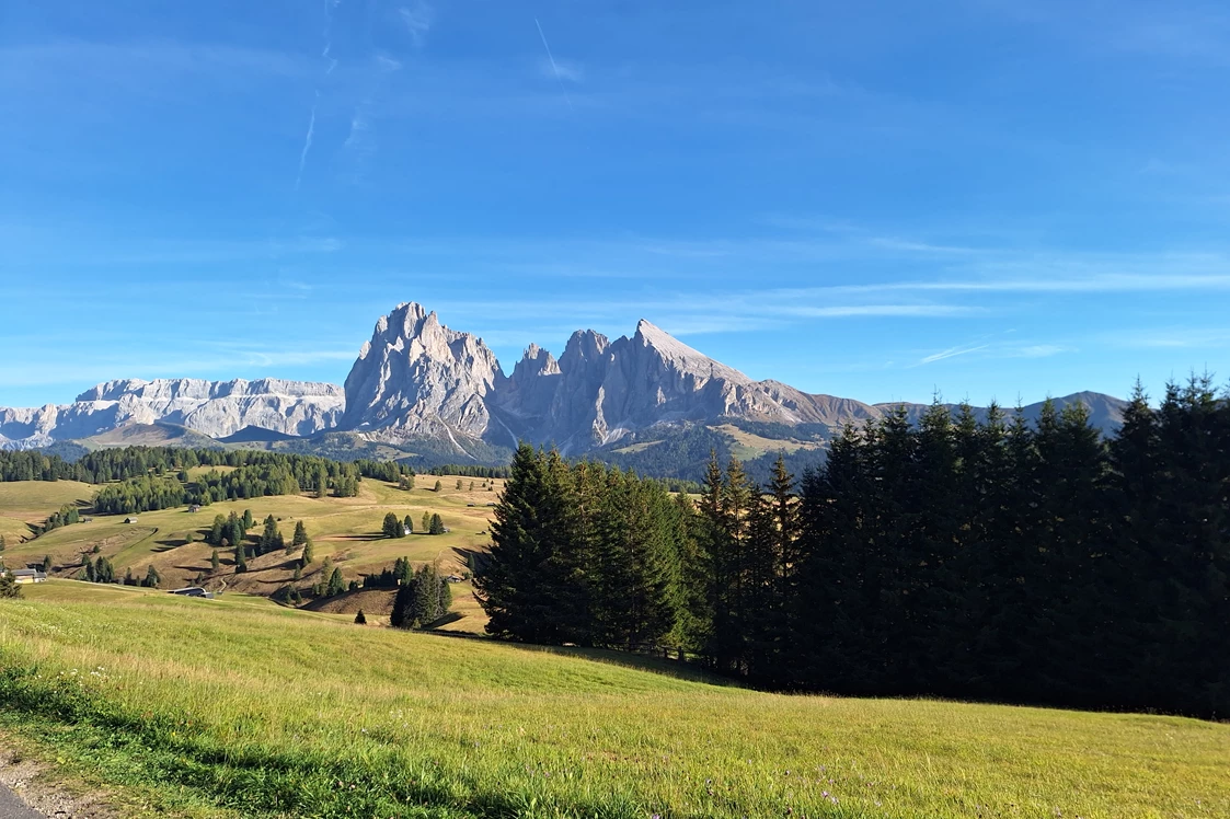 Ferien Bauernhof: Hof zu Fall