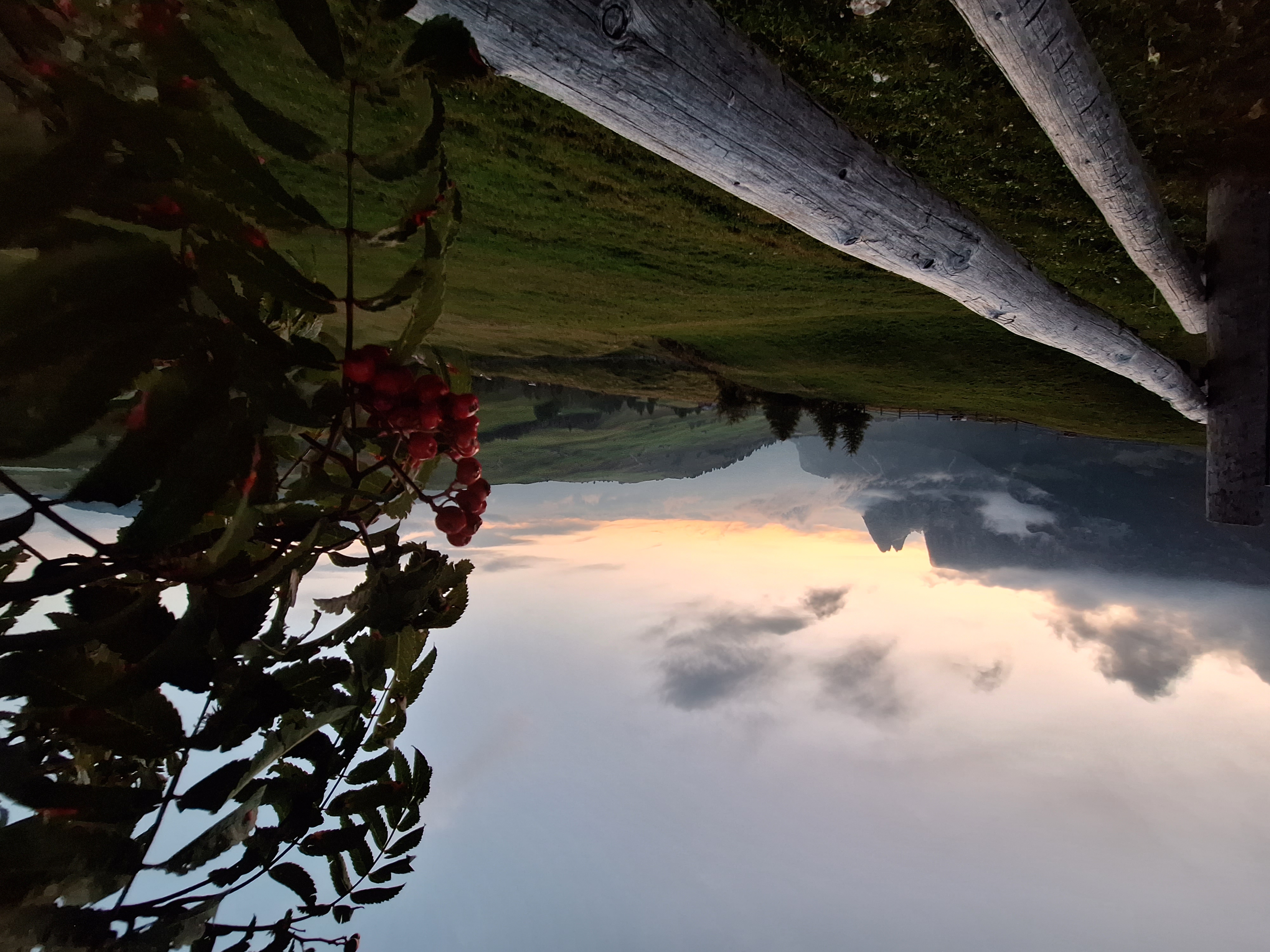 Ferien Bauernhof: Hof zu Fall