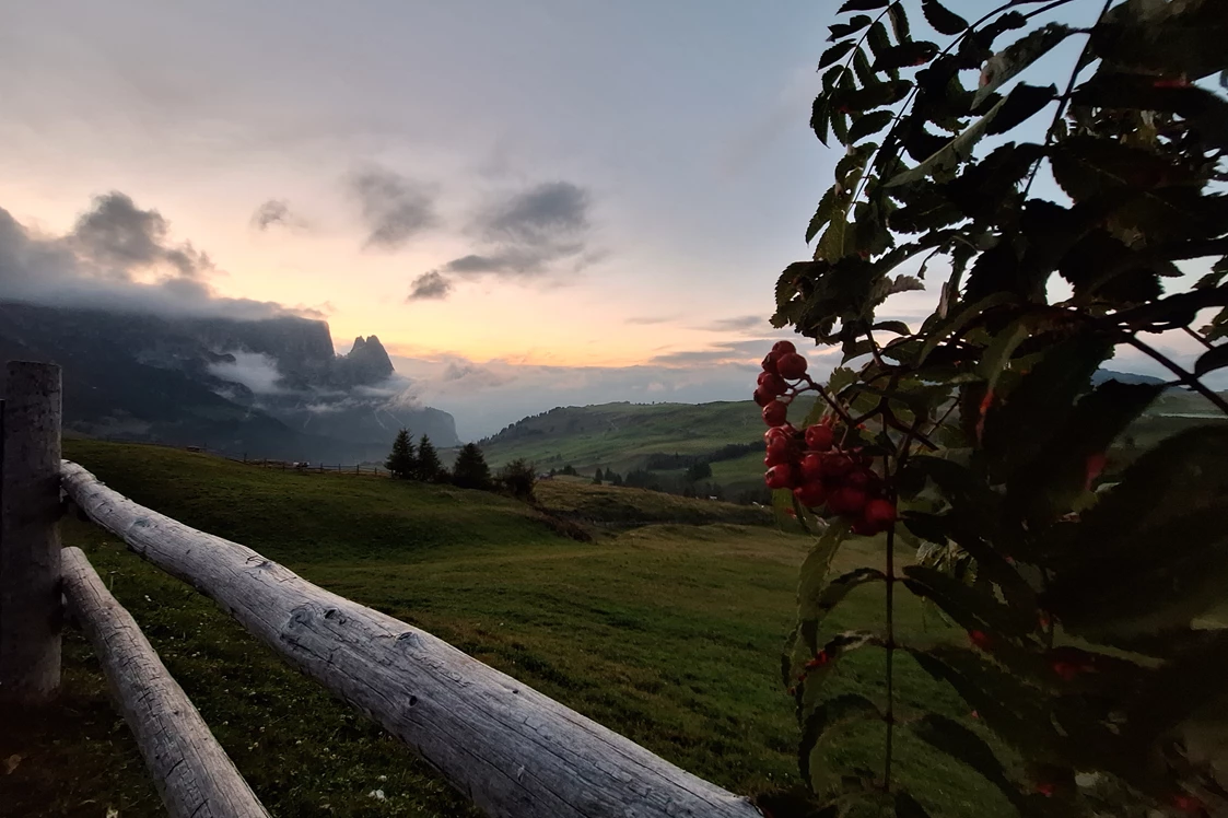 Ferien Bauernhof: Hof zu Fall