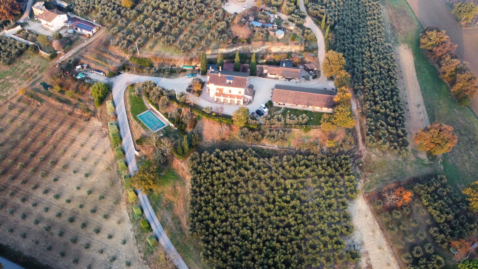 vacanza in fattoria - Spoleto - Agriturismo I Mille Ulivi  - I Mille Ulivi