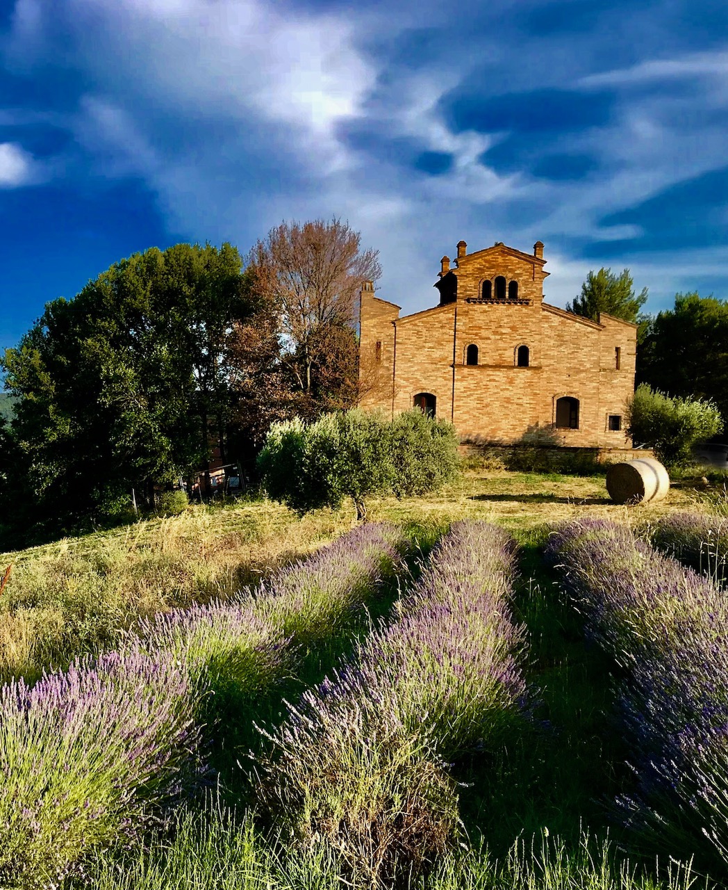 Ferien Bauernhof: Agriturismo La Campana