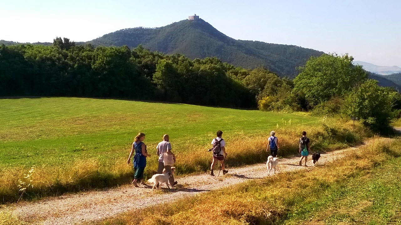 AGRITURISMO LE SELVOLE Destinations GROUP EXCURSIONS