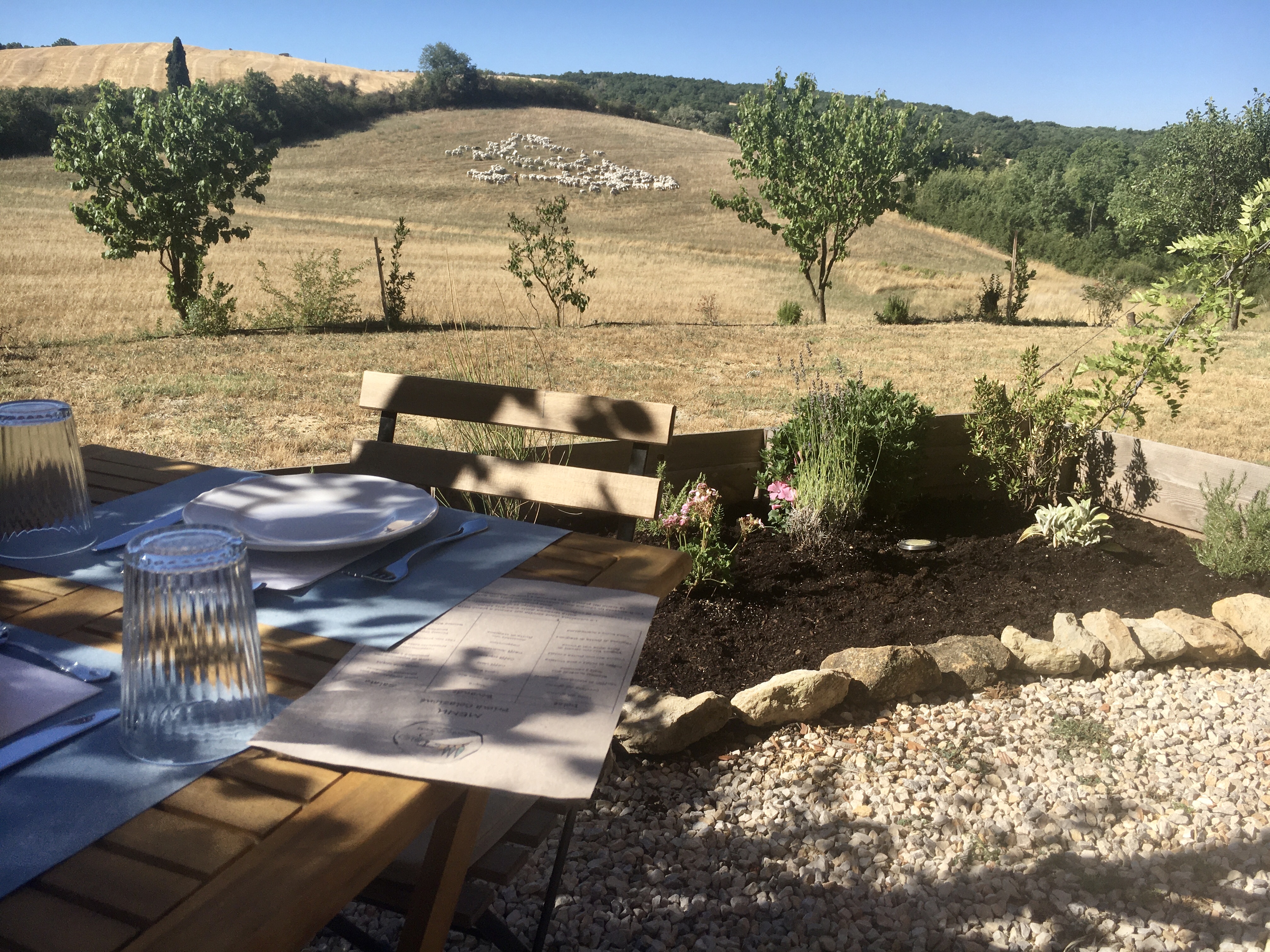 Ferien Bauernhof: Giardino - Vento d'Orcia