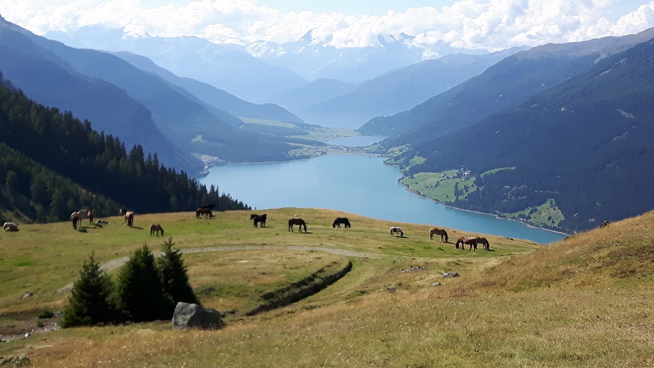Alblerhof Bestemmingen Plamort