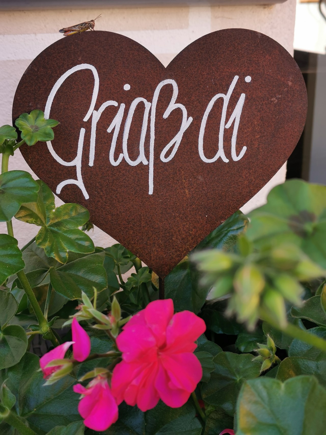 Alblerhof gastheer Alblerhof