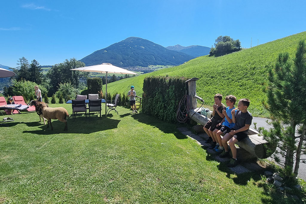 vacances à la ferme - Mayrhofen (Mayrhofen) - Sattlerhof
