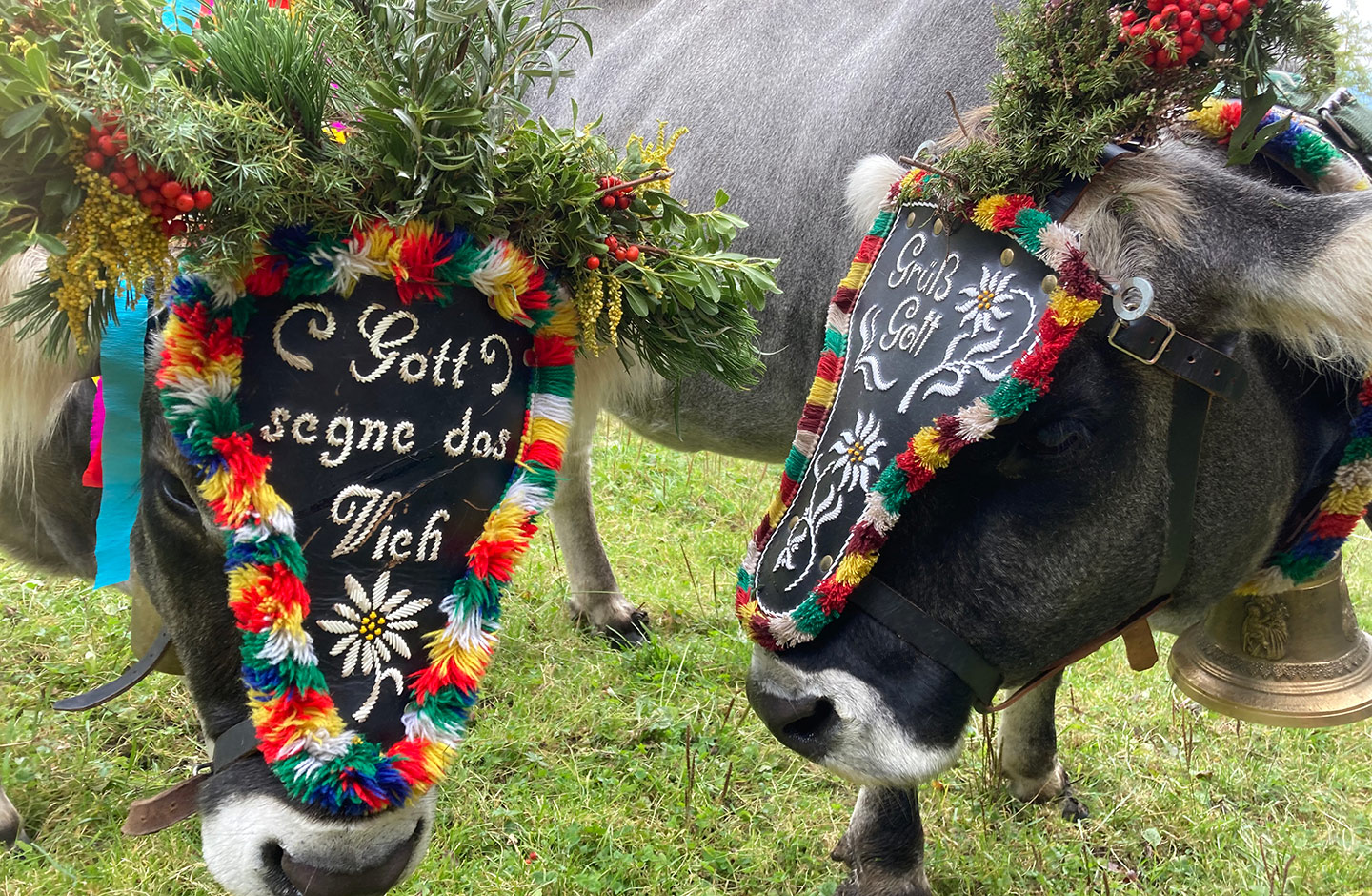 Ferien Bauernhof: Sattlerhof